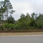 Callahan, FL 32011