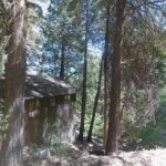 Cedarpines Park, CA 92325