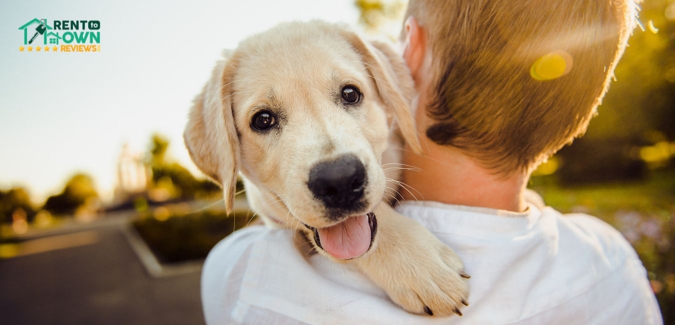 Pet Resume Tips for Home Buyers